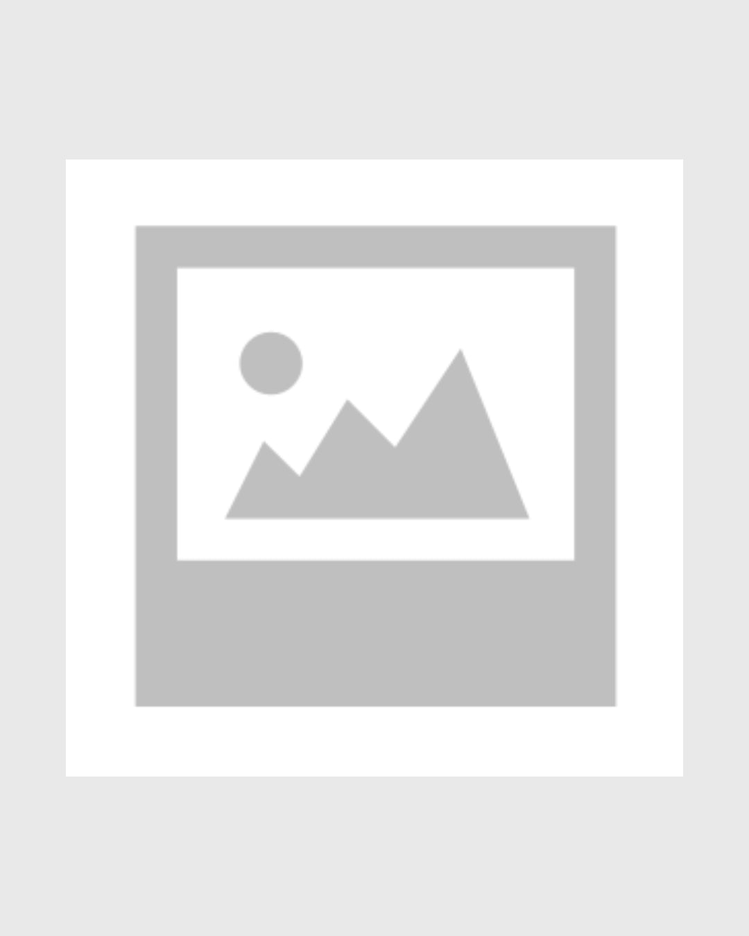 Broca Diamantada PM01